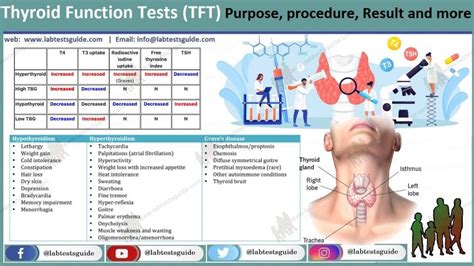 tft blood test